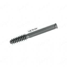 Lag Screw