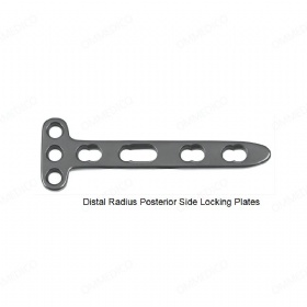 Radius locking plate-Distal Radius Posterior Side Locking Plate