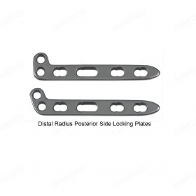 Radio distal Placa de bloqueo lateral posterior