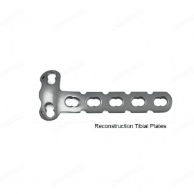 Reconstrucción de la placa tibial