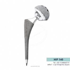 hip prosthesis -140