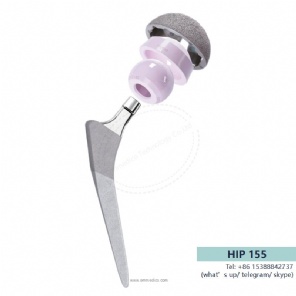 hip prosthesis -155