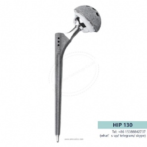 hip prosthesis -130