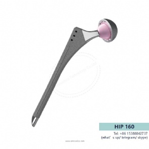 hip prosthesis -160