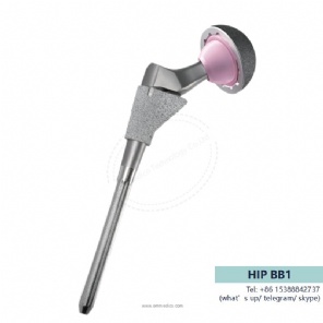 hip prosthesis -BB1