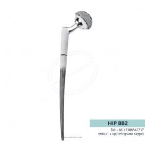 hip prosthesis -BB2