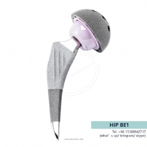 hip prosthesis -BE1