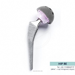 hip prosthesis -BE