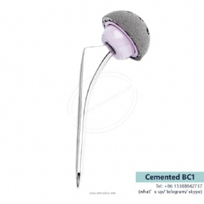 hip prosthesis -Cemented BC1