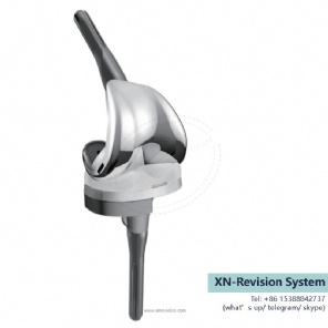 knee prosthesis-XN revision